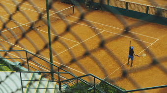 AYX SPORTS-体育报道呈现多元视角，体育报道怎么写范文
